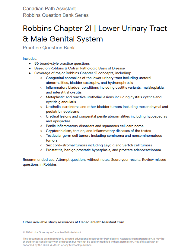 Robbins Chapter 21 Question Bank - Lower Urinary Tract & Male Genital System